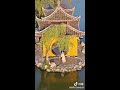 ancient city yangzhou 揚州瘦西湖