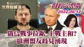 【完整版下集20220612】俄烏戰事拉鋸 主戰主和? 歐洲盟友歧見湧現 TVBS文茜的世界財經周報 20220612