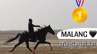 MALANG धोरड़ो हॉर्स रेस | | SINDHI_HORSE_BHUJ | | #dhordo #horserace