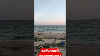 #Shortsตะวันรอนที่ชายหาดหนองแฟบ