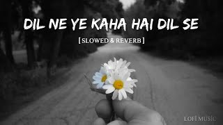 Dil ne yeh kaha hai dil se 🎧 | Slowed & Reverb | Udit narayan,alka yagnik |Dhadkan Lofi Music #lofi