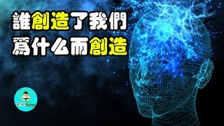 自主意識並不存在，人類只是虛擬生物|老吴alien