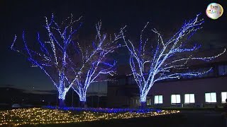 キャンパス彩る約７万５０００個のあかり　Xマスムード高まる　２月まで【香川・さぬき市】 (22/12/13 16:00)