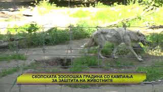 СКОПСКАТА ЗООЛОШКА ГРАДИНА СО КАМПАЊА ЗА ЗАШТИТА НА ЖИВОТНИТЕ