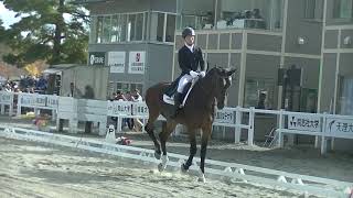 全日本学生馬術大会2018　第61回全日本学生行賞典馬場馬術競技会　ヴォルフラム　近藤直人