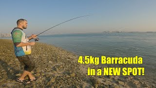 This New Fishing Spot Surprises Us With A Huge Catch!