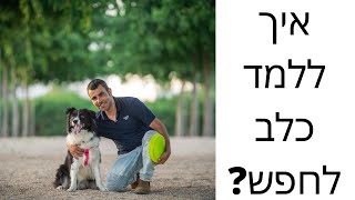 איך ללמד כלב לחפש חפצים ? | אילוף כלבים | איך ללמד גור לחפש ?| מאלף כלבים - טל שלוש ואורלי נחמיאס