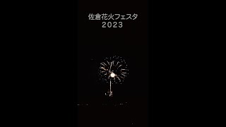 佐倉花火フェスタS2~2023.8.5~ #shorts