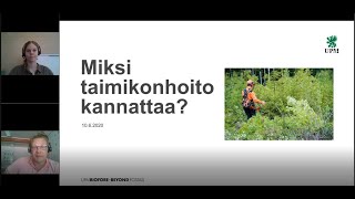 Miksi taimikonhoito kannattaa - UPM Metsä