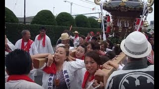 2017浜降祭 茅ヶ崎矢畑本社宮 恒例レディースタイム