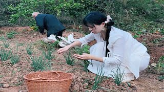 传统的饺子吃腻了，用芋头做些芋饺，给外公外婆尝尝鲜。