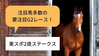 【東スポ2歳ステークス】イクイノックスにアルナシームにレッドベルアームなど...注目馬多数の重要なステップレース！