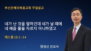 2024년11월10일/주일말씀/네가 난 것을 말하건데 네가 날 때에 네 배꼽 줄을 자르지 아니하였고(에스겔16:1-14)/양성신선교사/상담010-4947-8237