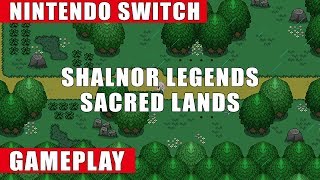 Shalnor Legends: Sacred Lands Nintendo Switch Gameplay