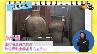 【かご探】新発見！かごしまの遺跡～かごしま遺跡フォーラム～ (11月23日放送)