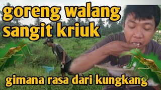 WALANG SANGIT GORENG GARING gimana rasa dari kungkang