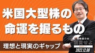 米国大型株の命運を握るもの ～理想と現実のギャップ～ [岡崎良介の刮目せよ]