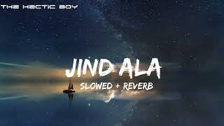 Jind Aala (Slowed + Reverb) | Sapna Choudhary | Amit Dhull | New Haryanvi Songs | @thehecticboyofficial