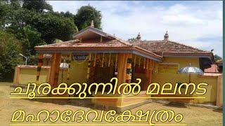 ചൂരക്കുന്നിൽ മലനട മഹാദേവ ക്ഷേത്രം 2019 പറക്ക്എഴുന്നെള്ളത്ത് #malanada