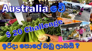 Australia Travel Vlog | Australia වේ ඉරිදා පොලේ බඩු ලාබයි ?  Sunday Market in Australia | Sinhala