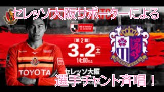 2019年3月2日 名古屋グランパス v セレッソ大阪 @ パロマ瑞穂　　セレッソ大阪選手入場～選手チャント斉唱！