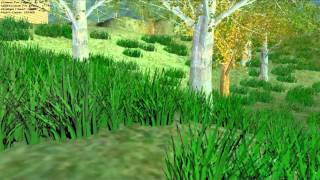 DirectX Basic Demo Techniques