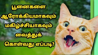 உங்கள் பூனைகள் மகிழ்ச்சியாக இருக்க இதை செய்யுங்கள் | Do this to keep your cats happy