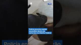 Polícia encontra ladrão escondido dentro do baú de uma cama box no DF #Shorts #BalançoGeral