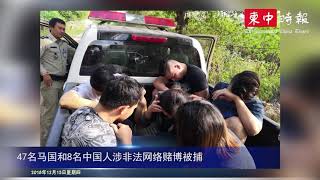 涉非法网络赌博 47名马国和8名中国人在波比被捕