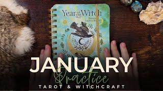 What's New, Reflections \u0026 Studies | January Tarot + Witchcraft Practice