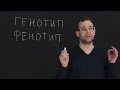 3.2 Первый и второй законы Менделя. Естествознание 10 11 класс