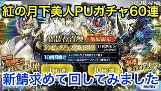 【FGO】シンPUガチャ60連：新キャラ求めて回してみました【人智統合真国 SIN 紅の月下美人】