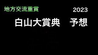 【競馬予想】 地方交流重賞　白山大賞典　2023  予想