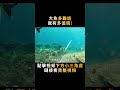 上鉤的魚一身牛勁，差點把漁民手掌勒壞，拉出來一看卻心花怒放！ shorts