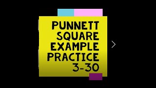 Punnett Square Example from Practice 3-30