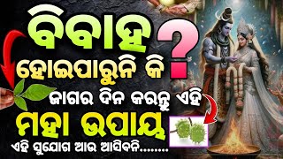 Maha Shivaratri Special Remedies 2025/ କରନ୍ତୁ ଏହି ଉପାୟ ସମସ୍ତ ଦୋଷ, ଦୁଃଖ କଷ୍ଟ ଦୂର ହେବ।Har Har Mahadev