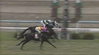 1991高松宮杯(GII)ダイタクヘリオス VS ダイイチルビー ハナ差激闘！