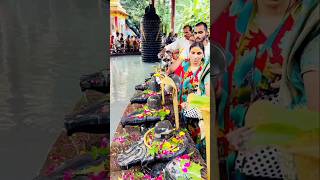 Miracle of Sacred Shivlings #shortsvideo