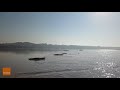 scores of crocodiles spotted sun baking by northern territory australia.