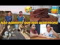 NÃO ESPERÁVAMOS POR ISSO| PREPARAMOS BROWNIE DE CHOCOLATE - NOVO PROJETO AQUI NA ROÇA