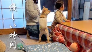 福島の実家では、愛犬と赤ちゃんの優しい時間が流れております！