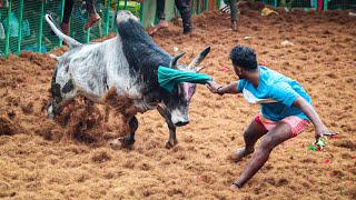 Mukanipatti Jallikattu 2025 Videos 10 | முக்காணிப்பட்டி ஜல்லிக்கட்டு 2025 Videos 10