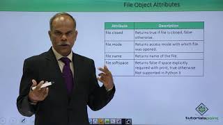 Python - File Object Attributes
