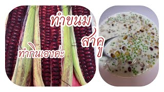 EP.031 ทำสาคู#เมนูทำเองกินเอง #ทำกับข้าวกินเอง #ฝากติดตาม #เมนูง่ายๆ