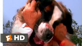 Beethoven (1992) - Framing Beethoven Scene (7/10) | Movieclips