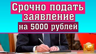 Пенсионный фонд сообщил, кому нужно подать заявление на новые 5000 рублей