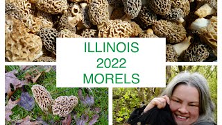 #morelhunting 🔥MOREL MUSHROOM HUNTING 2022🔥First morels of the season NEBO, IL #morels #foraging