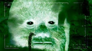 WE'RE GONNA CATCH BIGFOOT