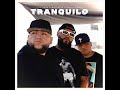 Tranquilo (Feat. Luis Omar y Pablo Ignacio) - Wolandia