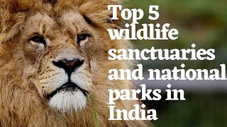 Top 5 wildlife sanctuaries and national parks in India